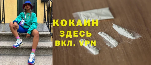 прущие грибы Абаза