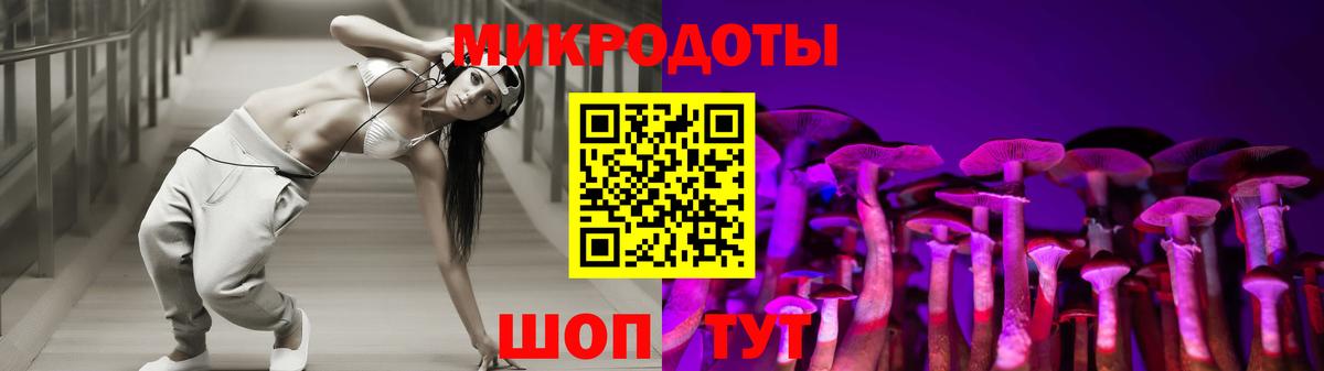 Псилоцибиновые грибы Cubensis Заводоуковск